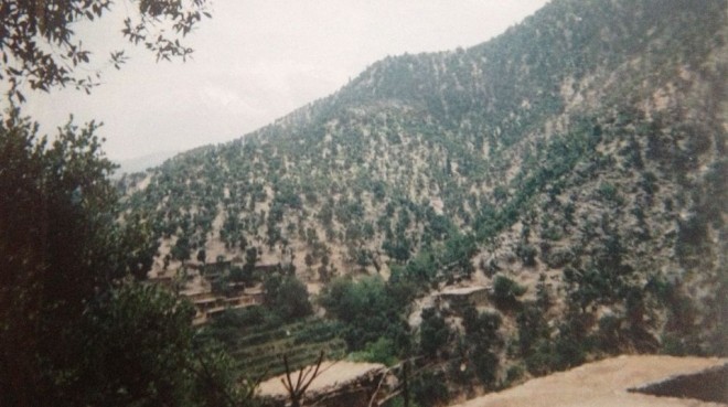 Operation Red Wings Overwatch House