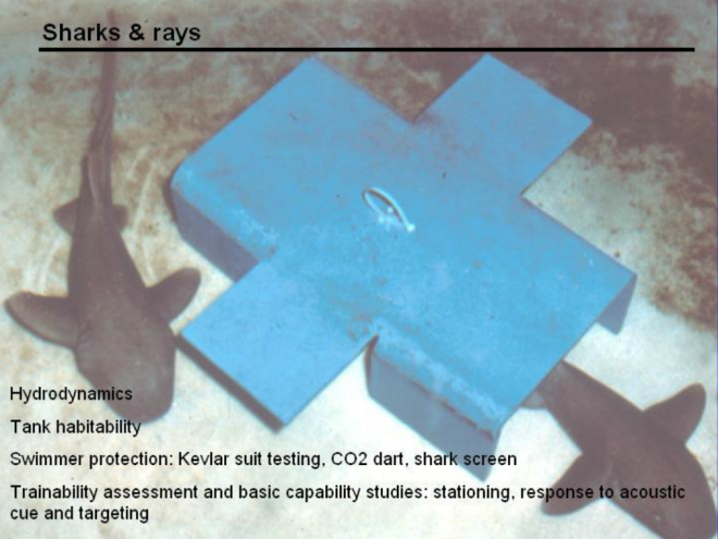 mk6-attack-dolphin-CO2-dart-sofrep