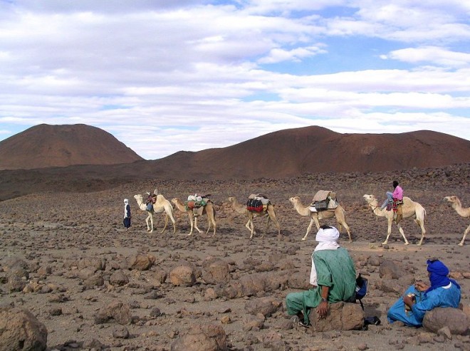 Camel Caravan in the Sahara