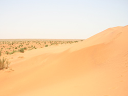 Saharan Desert Saharan Desert