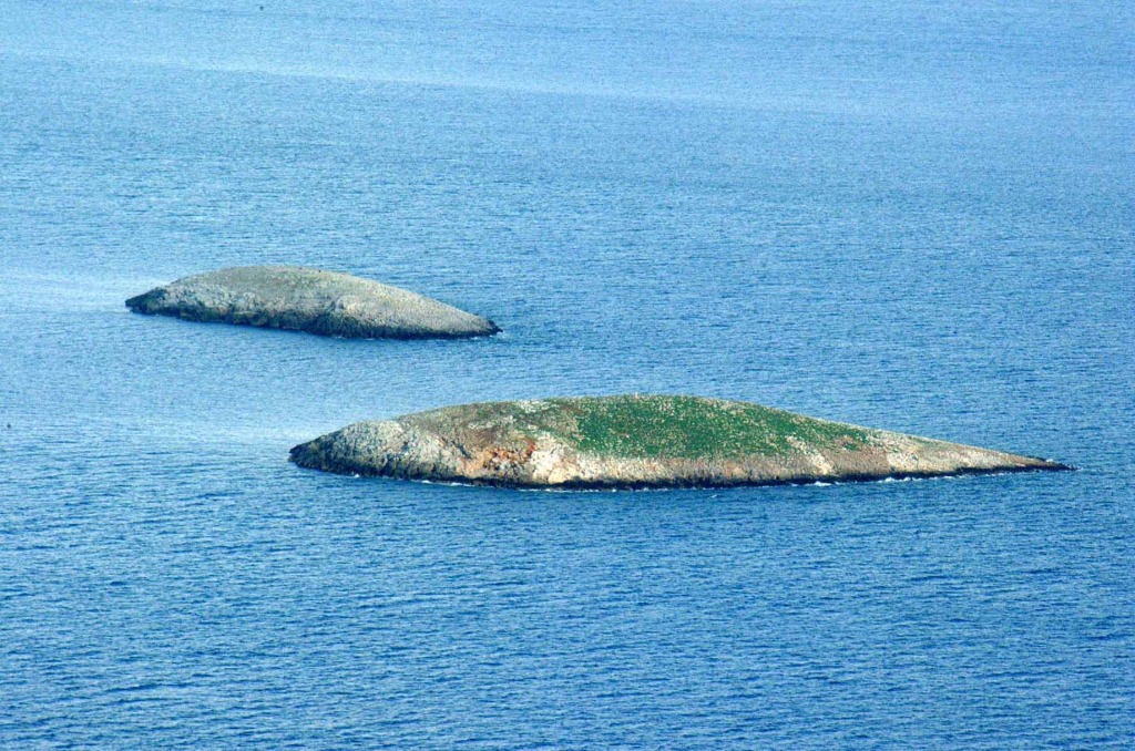 Mia Islets. In the foreground the western Imia islet where the SAT team landed