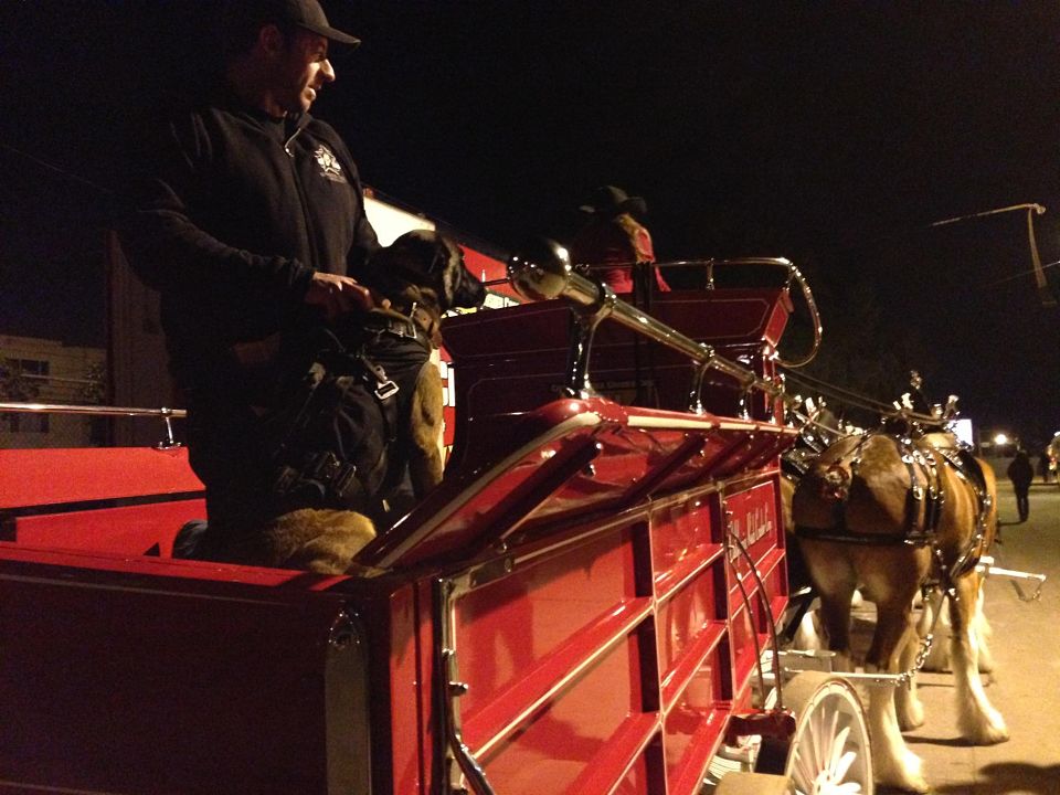 K9 Warrior Djena and Mike Ritland