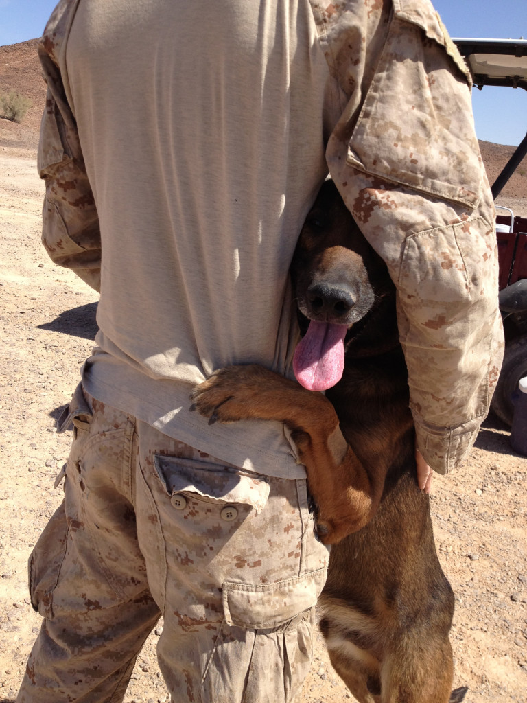 K9-war-dogs-sofrep