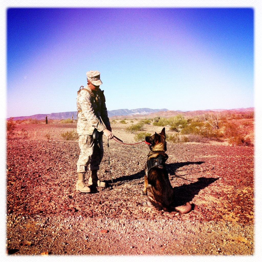 k9-trainer-war-dogs-sofrep