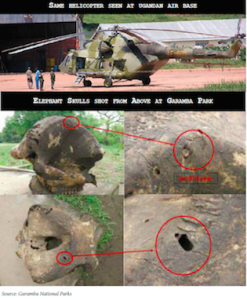 Ugandan-Helicopter-Hunting