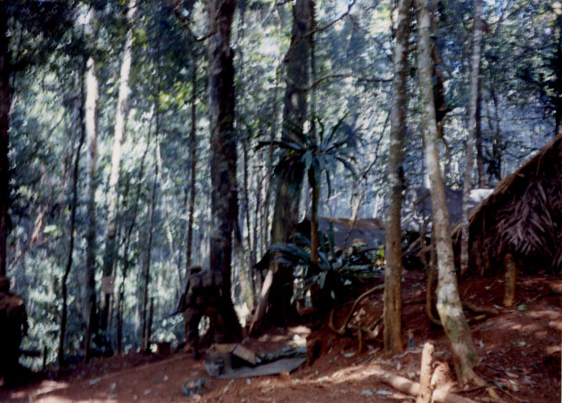 An unidentified Montagnard of SOG's top secret B Company stands next to enemy caches in an enemy base camp deep inside Laos during Operation Tailwind in Sept. 1970. On the right are several of the enemy structures where SOG demolition experts and A-1 Douglas Skyraiders destroyed more than nine tons of rice, an 81mm mortar, and four trucks before escaping with a large amount of NVA documents, money, maps and code books. Enemy troops were so surprised by the B Company attack on their base camp deep in Laos, that they left food in pots cooking over open fires after brief skirmishes with SOG men. (Photo courtesy of Gene McCarley) 