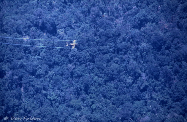 This is a classic example of just how close to the tree tops pilots flew the single-propeller A-1H Skyraiders when making a gun run over a target in Laos. Here the contrails are left behind by the low flying Skyraider. Green Berets on the ground during Operation Tailwind said the tactical support from Skyraiders, Marine Cobra gunships from HML-367, Scarface and Army Cobras, along with Air Force fast movers resulted in hundreds of enemy soldiers killed by the soldiers and Tac Air assets. (Photo courtesy of Don Fulton)