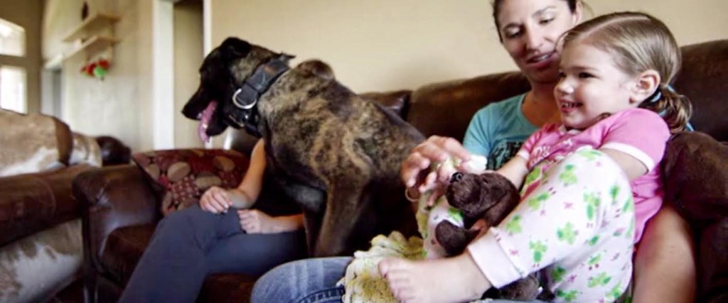 9ebcf04e-1c03-4d4a-93ab-662079a712ad