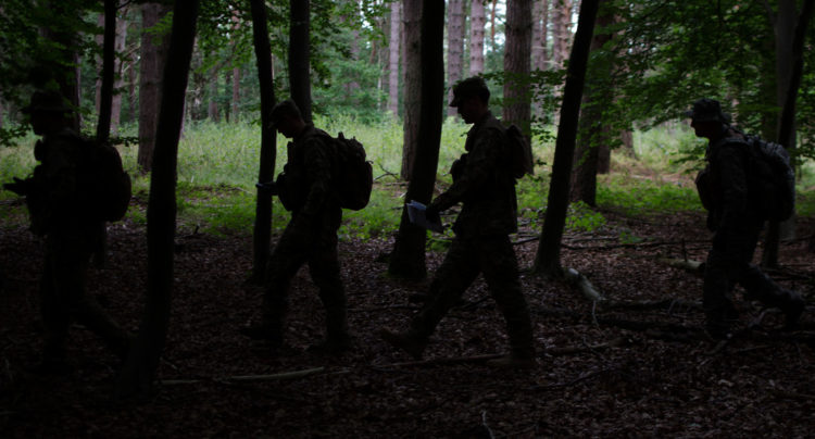 Combat Aviation Advisors Overview