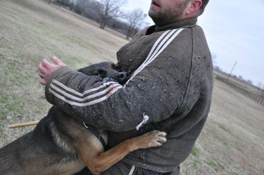 The Dogs of War Part One