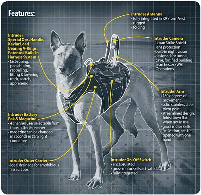 Dogs of War Part Two