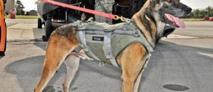 From The Cockpit: Hornets Fire Rockets At Fallon!