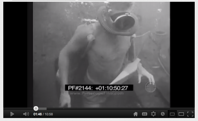 Navy SEAL/UDT Frogmen Rise From The Deep