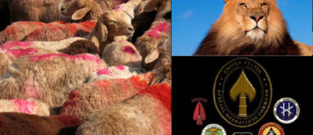 Lions Lead By Lambs: Washington’s Special Operations Power Grab
