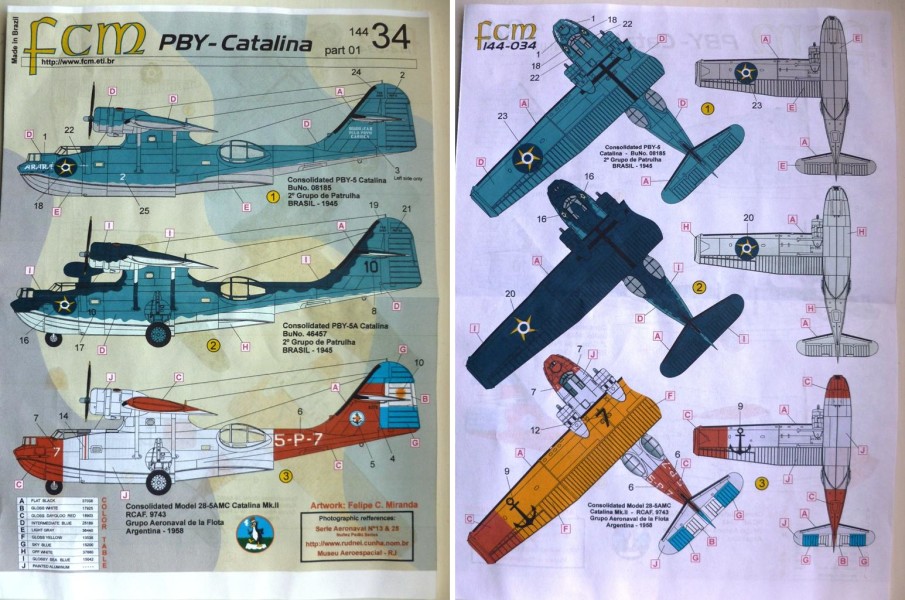 Black Cats Rule The Night