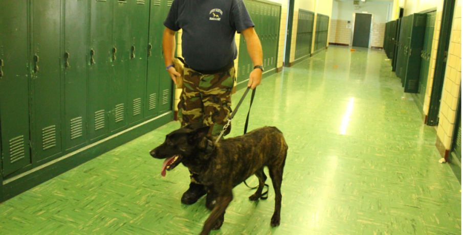 A Sensible Approach to School Security: K-9’s in The Classroom