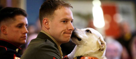 Marine, Dog Reunited in Surprise Ceremony