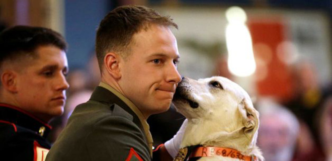 Marine, Dog Reunited in Surprise Ceremony