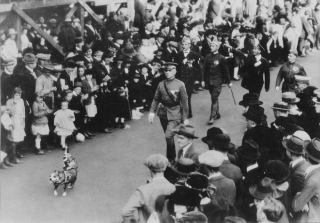 Sergeant Stubby Leads the Parade