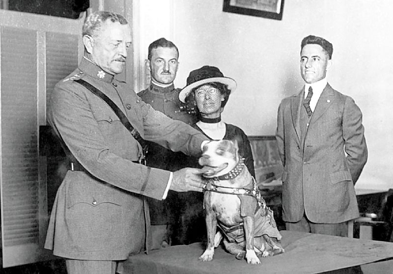 Sergeant Stubby: The Original Dog Of War