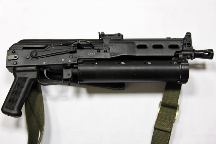 PP-19 Bizon: Scorpion Of The Motherland
