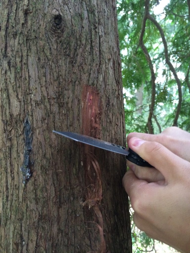 Rat Worx MRX automatic chain driven knife