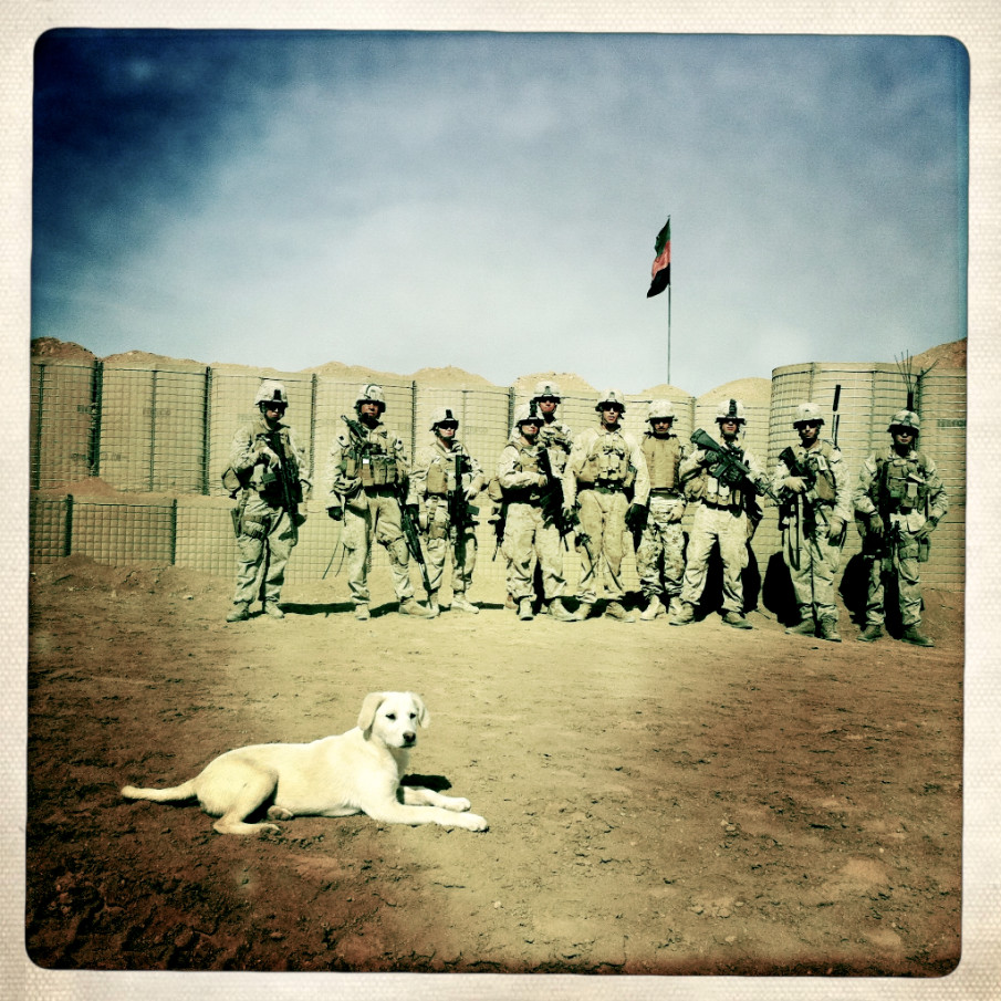 The Book “War Dogs”: Photo Gallery & Interview