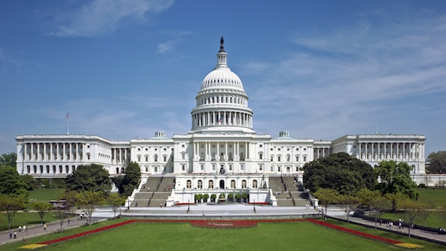 Newcomer Veterans Highlight 114th Congress