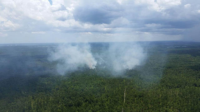 South Carolina Mid-Air Collision (Update)