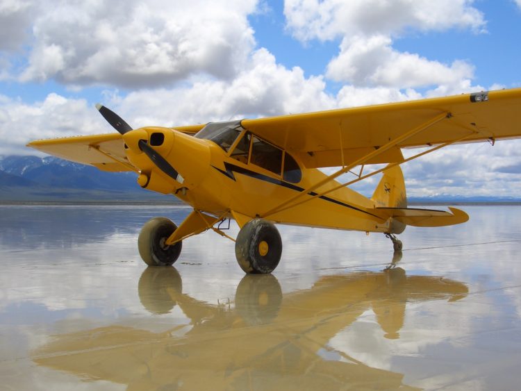 Intense Bush Pilot Landings In The Back Country!