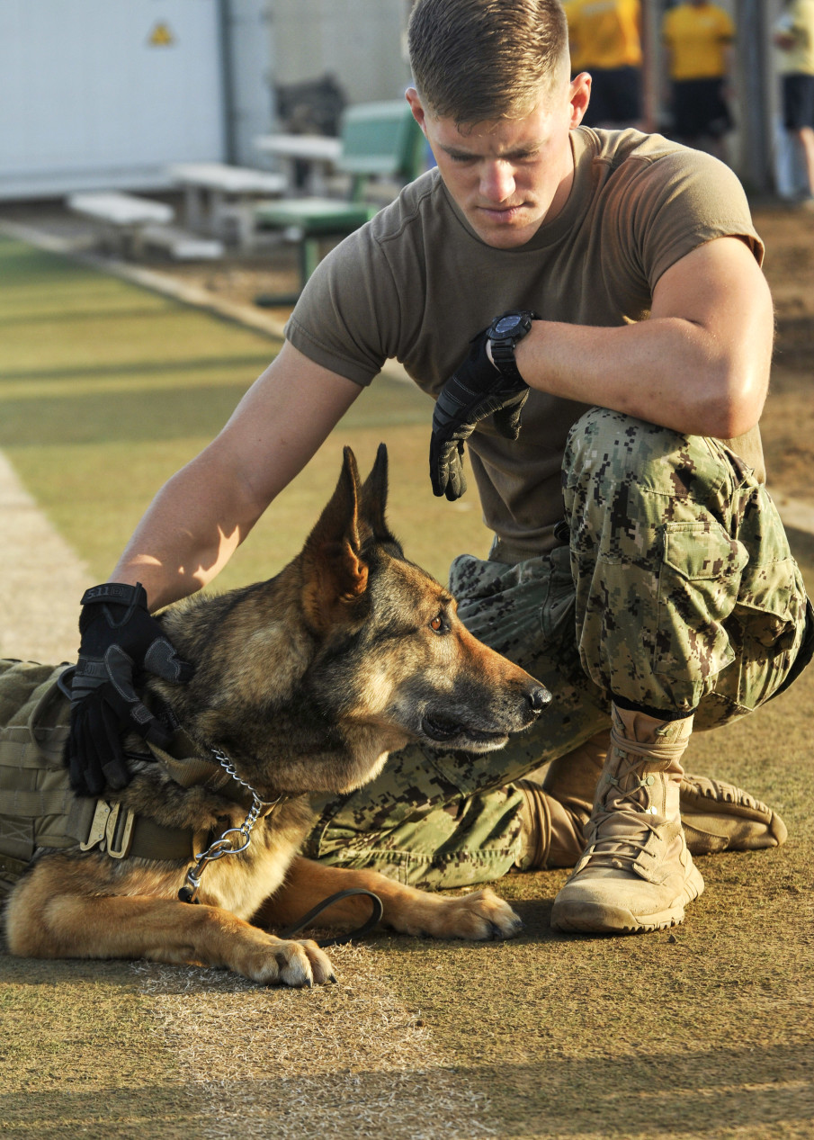 The Training of Navy SEAL Military War Dogs