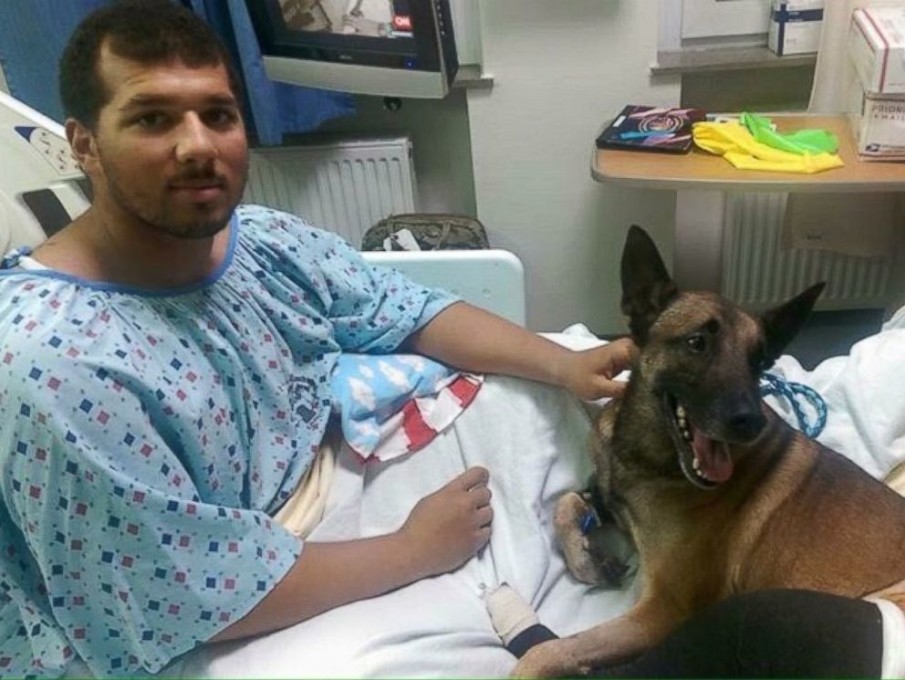 See Soldier’s Heartwarming Reunion With Military Dog