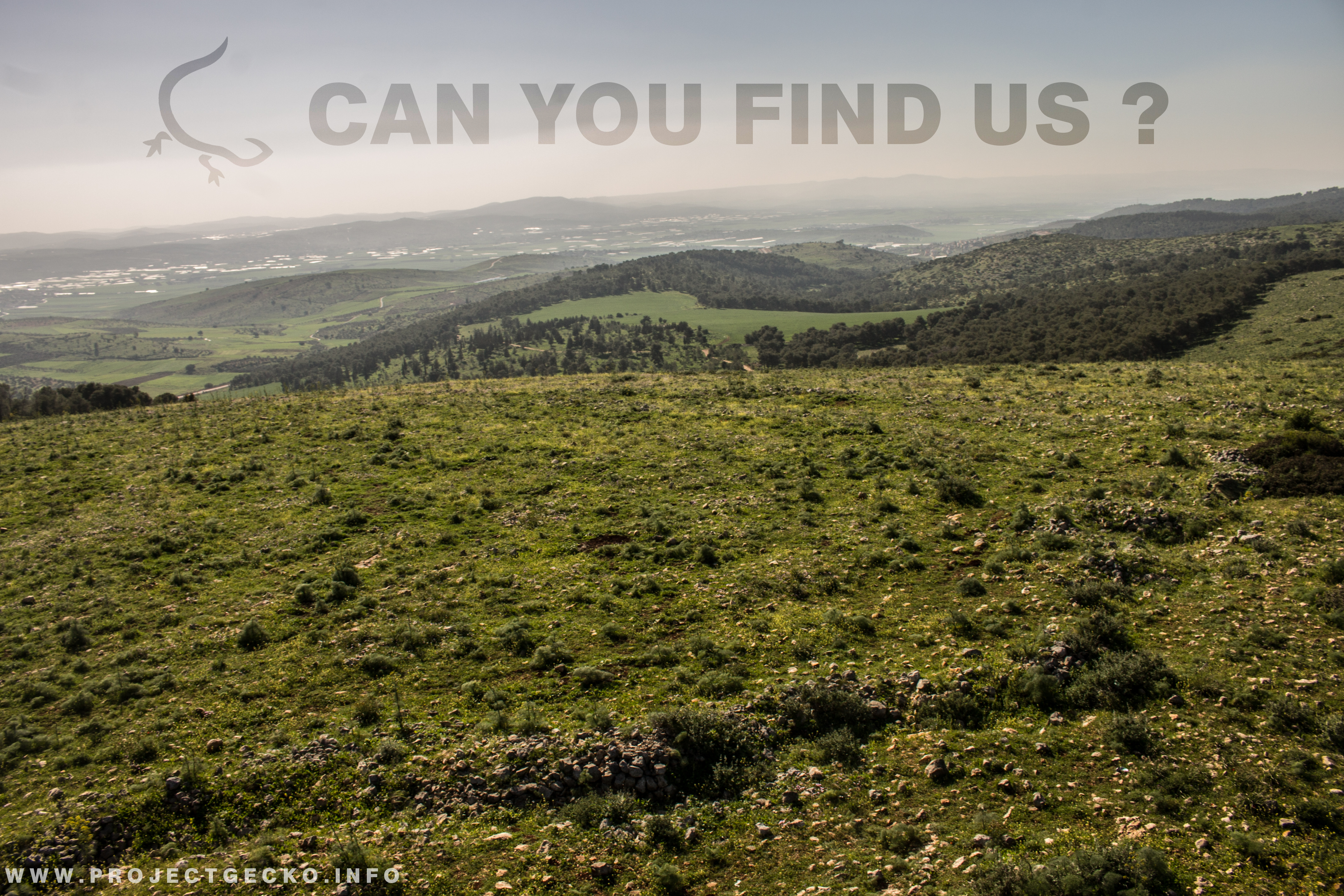 Can you find these hidden Israeli operators?