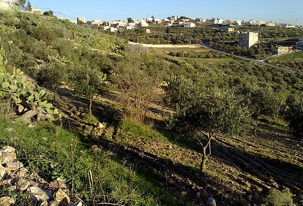 Should whatever is left of Syria be partitioned?