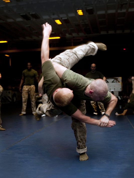 SEALs now train like UFC fighters, but a lawmaker questions why