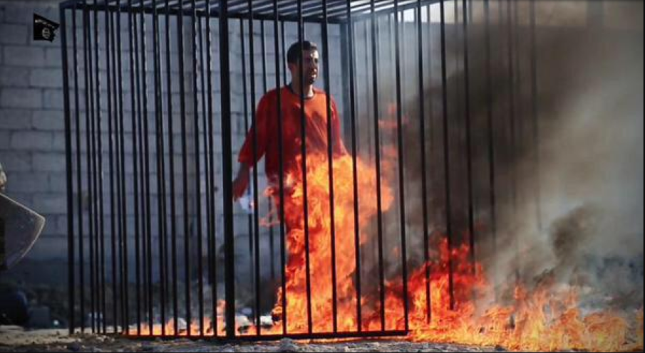 Obama Nixed CIA Plan That Could Have Stopped ISIS: Officials