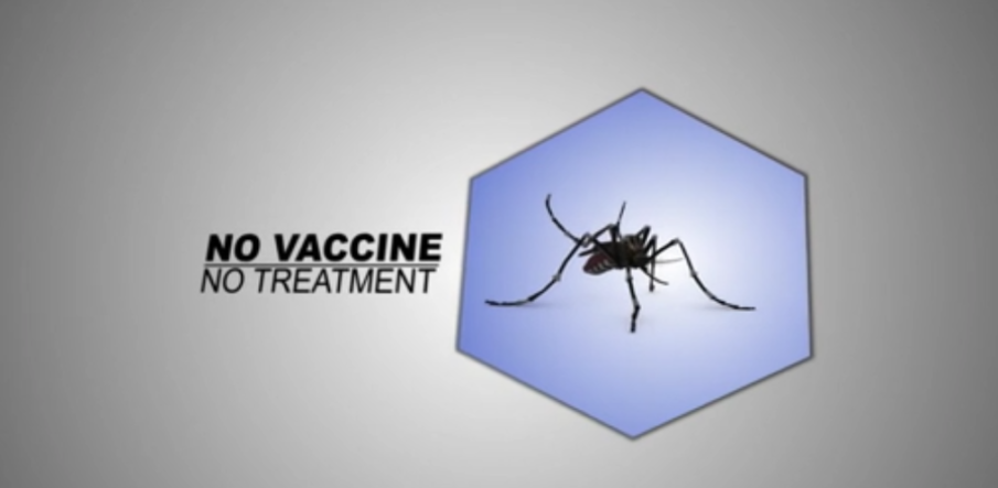 Watch: Navy Medicine Releases Zika Virus Infection Guidance