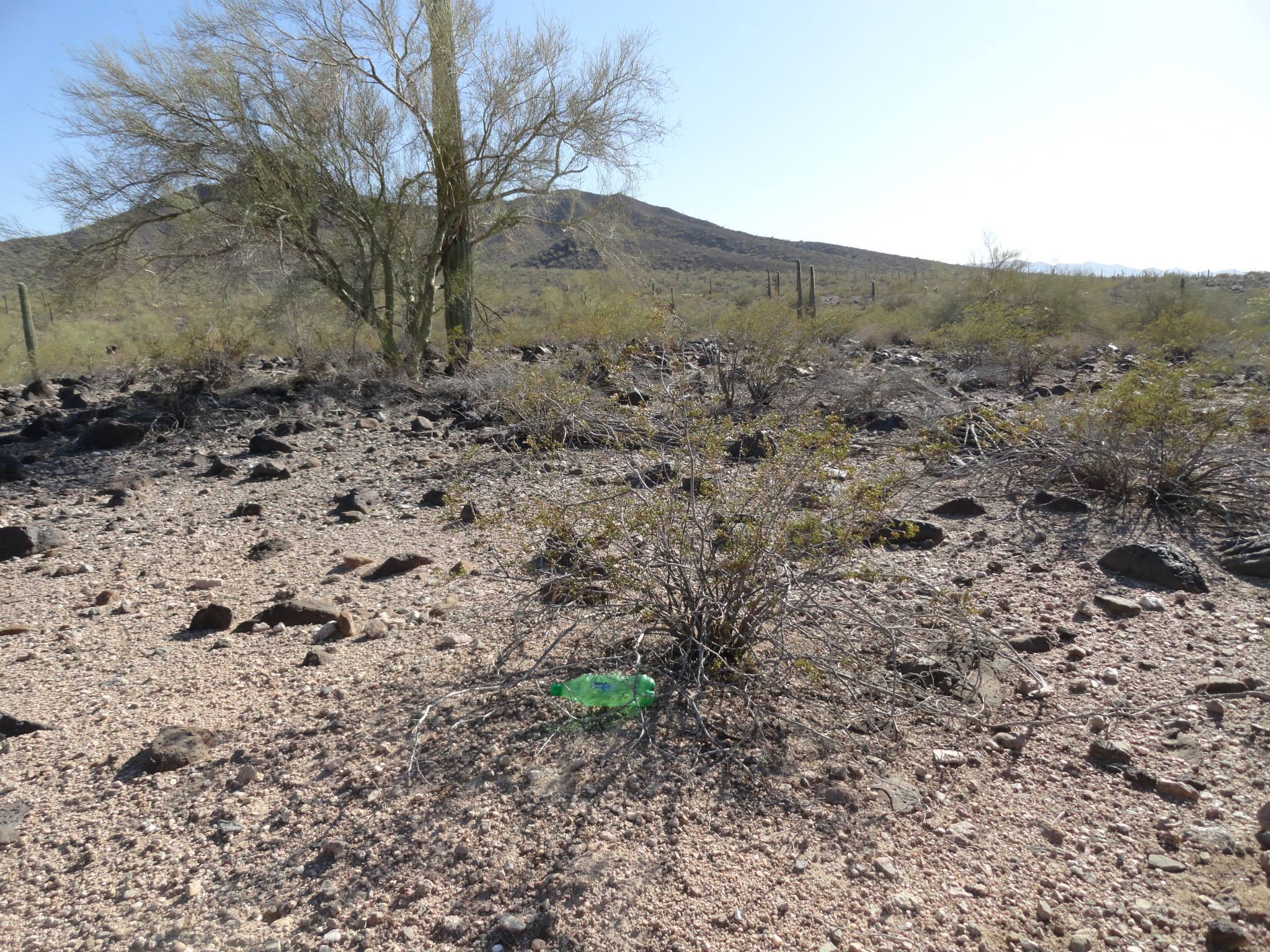 11082318_1071556626193381_3251681086563377382_o