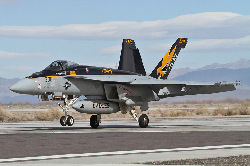 From The Cockpit: Eagles 2015 Cruise Teaser!