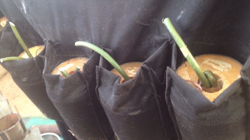 Mother-of-three abducted by Boko Haram, sent to bomb Kano market, escapes