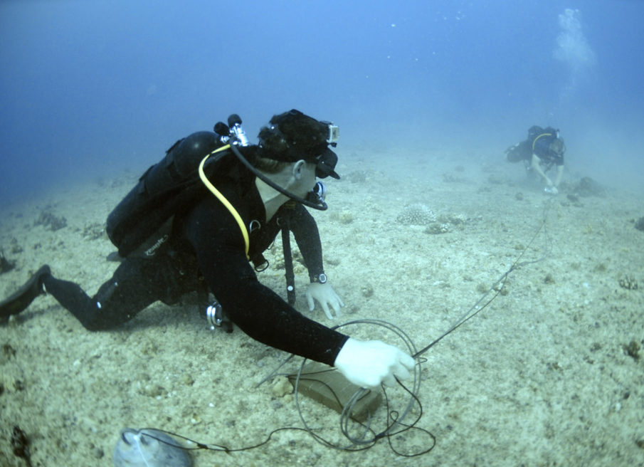 Who are the Underwater Demolition Teams blowing up Nigerian oil infrastructure?