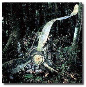 The catalyst for the name "BentProp". Courtesy: BentProp.org