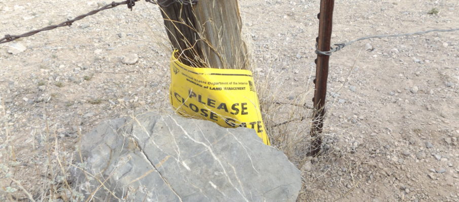 Mexican president: No way we’re paying for a wall