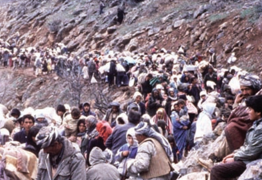 Operation Provide Comfort: The role of the 10th Special Forces Group