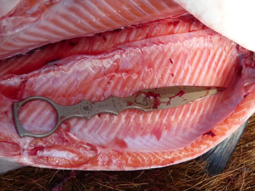 Spartan Blades CQB Tool | A Force Multiplier