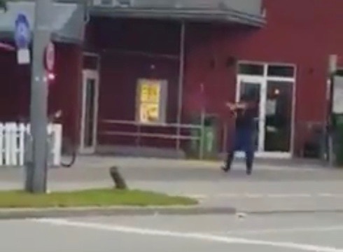 Watch: Footage shows the shooter firing at people outside of the Olympia mall in Munich (Warning: Graphic Images)