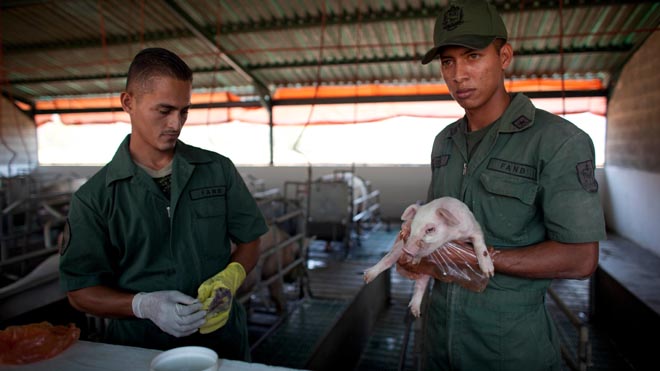 Venezuela military take over distribution of food, seize control of five biggest ports