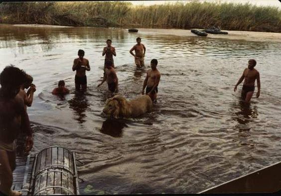 Belgian Malinois? Cute puppy, but the South Africans had a lion