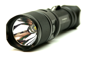 warrior-pic-2-300x206