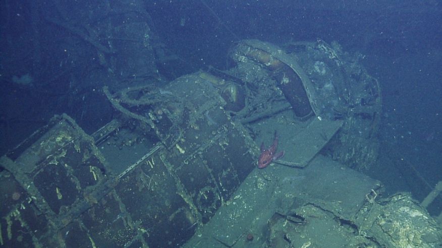 Incredible images offer first glimpse of sunken WWII-era aircraft carrier